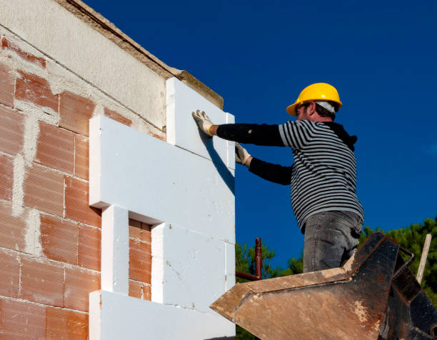 Best Insulation Maintenance and Repair in Rosanky, TX